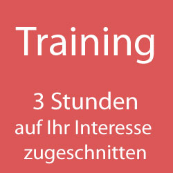 1 Stunde Training / Service - Partiestunde