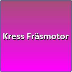 AMB / KRESS Fräsmotor
